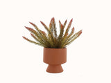 Jai Artifical Fern in Ceramic Vase 32cm V637-45124FRN