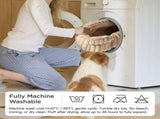 Cat Bed Plush Cat Bed Round Cat Bed Cat Furniture Cat Comfort Pet Supplies - Beige / 23in V1107-135-46437-BEG-23IN