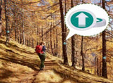 Trail Markers Reflective Marker Pack Bright Marking Reflectors for Hunting Hiking Driveway Camping V1259-DP01-A-1173