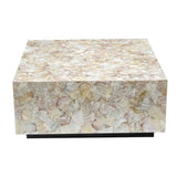 CLUSTER MOTHER OF PEARL HAND MADE COFFEE TABLE V742-FEH8