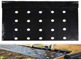 33x3 ft Heavy Duty Weed Barrier Fabric, Pre-Punched Planting Holes Black Plastic Mulch for Vegetable V1192-AZ-W-22177