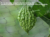 50 x 100FT AntiBird Netting Garden Plant Fruit Tree Protect Sparrow Catching Mesh V1294-YM0901-JY05081