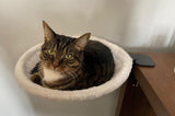 Cat Desk Bed, Ergonomic Cat Hammock for Office Desk, Sturdy Clamp-on Pet Bed for Remote Workers and V1237-ZY-924-066