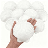 10Pcs Large Natural Scallop Shells,4'-5' Large Shell for Crafts,Diy Painting,Baking&Beach Wedding V1369-AZ3-W-17980