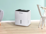 Dimplex Portable 12L Dehumidifier with Air Purifier in Black and White DC12DEPUR
