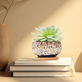 3.94 Inch Round Ceramic Succulent Planter Pot with Drainage Hole and Attached Saucer, Glazed Shallow V1366-AZ2-W-16519