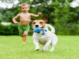 Interactive Dog Toys, Moving Dog Ball with Touching Activated, Squeaky Dog Toy, Active Rolling Ball V1192-AZ-W-29670