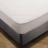 Shangri LaCotton Cover Fitted Mattress Protector King Single V442-KIT-MATTRESSP-COTTONCOVER-WHITE-KS