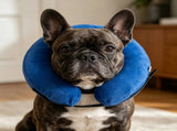 Inflatable Dog Cone Collar Alternative, Soft Dog Cone for Small Medium Large Dogs and Cats, Neck V1265-265-XL