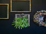 Plated Silver Stainless Steel Orchid Mount with Wall Planter Holder for Succulent Display V1192-AZ-W-28294