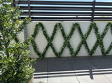 Artificial Extendable Hanging Flowering White Eucalyptus Vine UV Resistant 55cm V637-DP22574