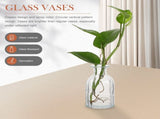 Glass Flower Container Aesthetic Flower Vase 4Pcs 5.5X3In V1369-AZ3-W-18427