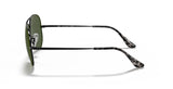 Aviator Metal II in Black and Green Sunglasses V196-RB3689-9148-31