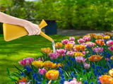 1.5L Creative V Shaped Watering Cans Home Gardening Watering Sprinkler Spray Cans V1294-YM0523-220111XY02-2