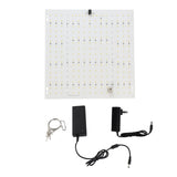 Plant Light LED Succulent Fill Light Full Spectrum Plant Grow Light IP20 Water Resistant Rating Heat V1294-YM0901-L6914US-1