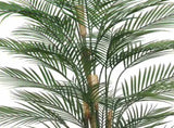 Premium Artificial Areca Palm Tree 210cm UV Resistant V637-DP5562312