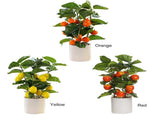 Small Fake Fruit Tree Decor Artificial Potted Tree with White Pot Potted Plant Perfect for Kitchen V1294-YM0523-220324CY13-1
