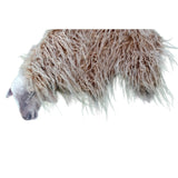 Long Haired Hand-Made Sheep Framed Canvas Wall Art 40cm V637-95200SHP