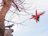 Bird Scarecrow Fake Plastic Crow Black Feathered Crows Bird Repellent for Outdoor Garden Yard V1294-YM0717-10036137