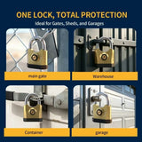 Heavy-duty metal padlock with 3 keys, dual-open design , suitable for V1232-SKS-001