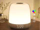 Touch Wake Up Night Light with Sunrise Simulation Alarm Clock, 3 Ways Dimmable Warm White Bedside V1188-MS-205-10
