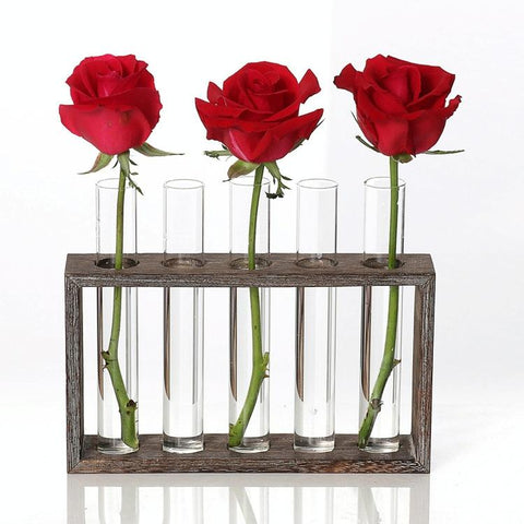 Minimalist Hydroponic Glass Vase With Wooden Frame For Coffee Shop Decor PRL-1028893230DBT_NZ