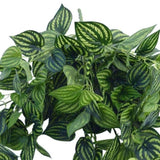 Bright Mixed Philodendron Garland Bush 100cm V637-1014515