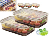 Outdoor Picnic Preservation Box - Leak-Resistant Dual-Layer Storage w/ Ice Pack & Handle, Sealed V1366-AZ2-W-11411