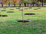 Tutuviw Non Woven Tree Ring, 24.4 inches Round Tree Base Weed Barrier Fabric Cover, Degradable and V1189-WXFWAL-20260319-00120