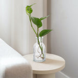 Glass Flower Container Aesthetic Flower Vase 4Pcs 5.5X3In V1369-AZ3-W-18427
