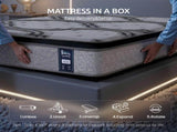 Levitex Queen Mattress 34 cm 5-Zone Pocket Spring with Latex & Memory Foam or Extra Lumbar & MATTRESS-LV-VELA-34-Q