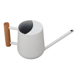 Watering Can 900ml Stainless Steel Long Spout Wooden Handle Elegant Flower Watering Pot for Garden V1294-YM0706-3111230174011