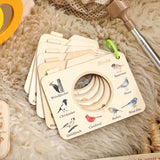 STEM Insect Observation Explorer Kit Wooden Telescopic Butterfly Net, Ventilated Habitat Box, V1232-PDTZ-002