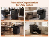Artiss Professional Salon Station Rolling Cart, Hair Styling Beauty Cabinet with 2 Drawers, Large FUR-AD-SAL-03-BK
