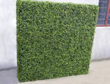 Large Portable Mixed Boxwood Hedge 1.5m by 1.5m UV Resistant V637-DP1012231