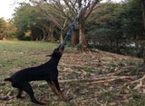 Spring Pole Dog Rope Toy Dog Tug of War Toy Outdoor Hanging Exercise Rope for Pet V1294-YM0717-10117304