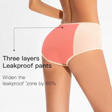 Women's 8-Pack Leakproof Briefs 2XL Multi-Coloured Underwear V1258-DP02-BOL-443