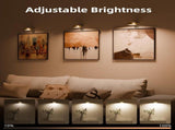 3 Pack Rechargeable Magnetic Picture Light with 3 Color Temperatures and 12 RGB Colors, Dimmable V1237-ZY-924-188