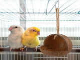 3 Pcs Natural Coconut Bird Hide Nest Birds Parakeet Nest with 6.9 Feet and 4 Hooks, Coconut Fiber V1369-AZ3-W-02686
