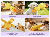 Plush Dog Toys With Squeaker, Assorted Animal Pet Toys Suitable For Medium And Large Dogs, Stuffed V1370-AZ4-25483
