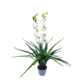 100cm Faux Artificial Home Decor Potted Cymbidium-Red/White - White V915-MB0028-WH