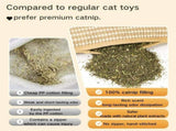 Pillow, 13.4In Interactive Chew Toy with Sisal Scratching Pad, Bite-Resistant Teething Toy for V1366-AZ2-W-10680
