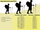 Mountaineering Walking Poles, Adjustable Trekking Poles with Anti-Shock Function, Ultralight & V1189-LC-RY-00317