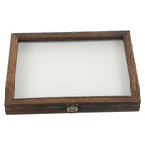 Insect Display Box for Kids, 31x22x4.5cm, Coffee Color, Educational Pinning Kit for Children V1369-AZ3-W-20935