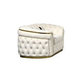 1 Seater Sofa Beige Velvet Fabric Solid Wood construction Gold Stainless Steel Trim V43-SOF-DUK1SBG
