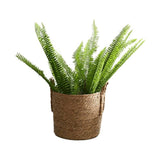 Flower Pots Seagrass Plant Basket with Handle Indoor Woven Flower Pot Toy Storage Container for V1294-YM0717-10077510