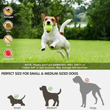 Automatic Pet Ball Launcher Toy with 3 Smart Launch Modes, Built-in Li-ion Battery & USB Charging, V1232-ZDTZQ-GG-004