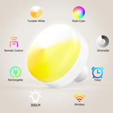 Battery Operated Wall Sconce, 5000mAh Rechargeable Dimmable RGB Wall Sconce Set of 2 with Remote, 3 V1171-CB-WL-CU-CCT-USB2
