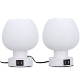 Table Lamp Touch Control 3 Brightness Levels 3000K Warm Light E26 Bulb Holder with Dual USB Ports V1294-YM0901-3119240097511