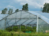 (Special Offer) 2x6m Polyethylene Greenhouse Film, Transparent, Extra Thick Garden Film for Foil V1237-ZY-203-1563